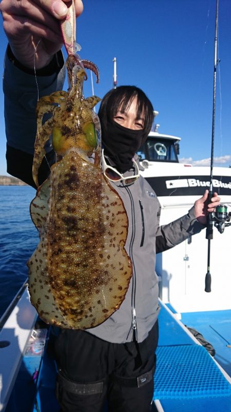 第三共栄丸 釣果