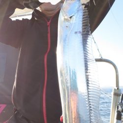 シースナイパー海龍 釣果