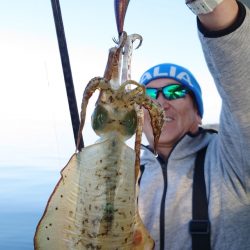 シースナイパー海龍 釣果