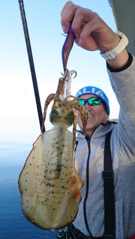 シースナイパー海龍 釣果