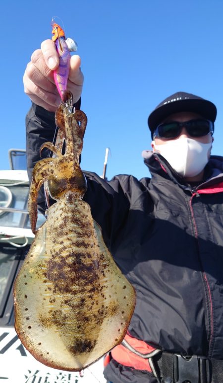 シースナイパー海龍 釣果