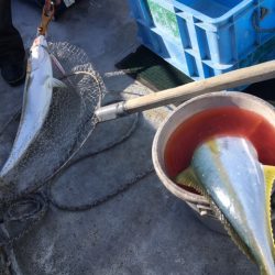 金栄丸 釣果