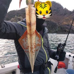 関西 フグ ジギング船 釣り船 釣果情報サイト カンパリ