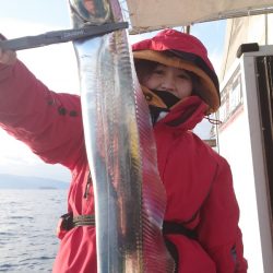 シースナイパー海龍 釣果