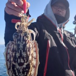 シースナイパー海龍 釣果