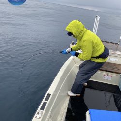幕島丸 釣果