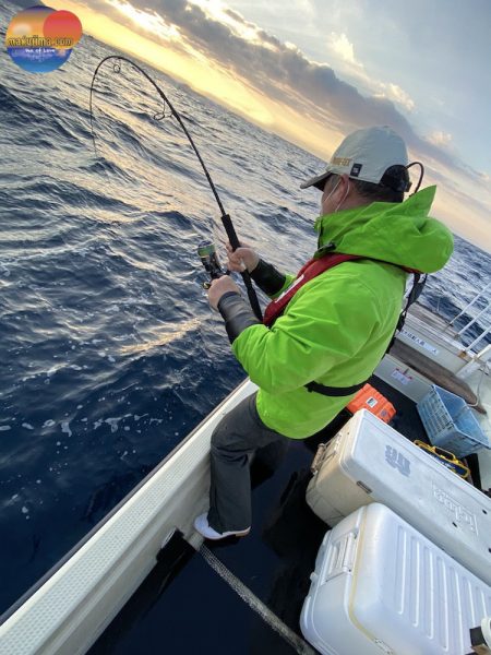 幕島丸 釣果