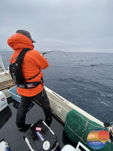 幕島丸 釣果