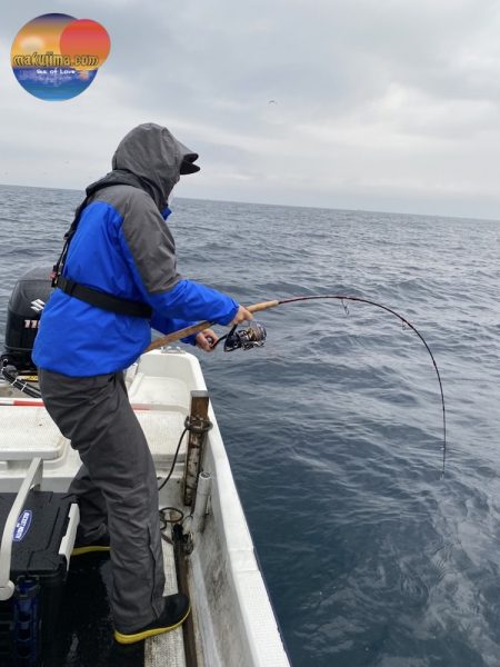 幕島丸 釣果