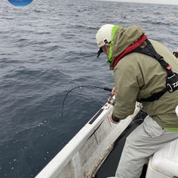 幕島丸 釣果