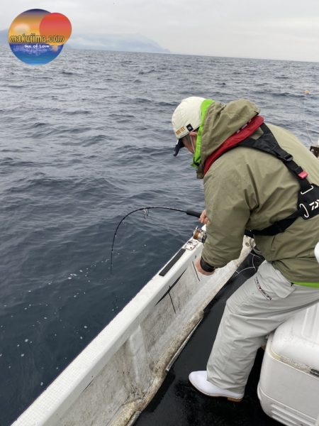 幕島丸 釣果