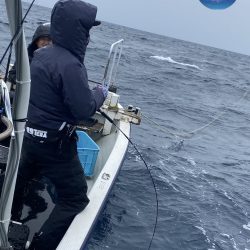 幕島丸 釣果