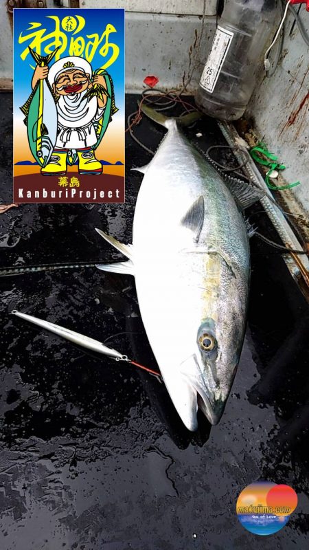 幕島丸 釣果
