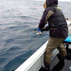 幕島丸 釣果