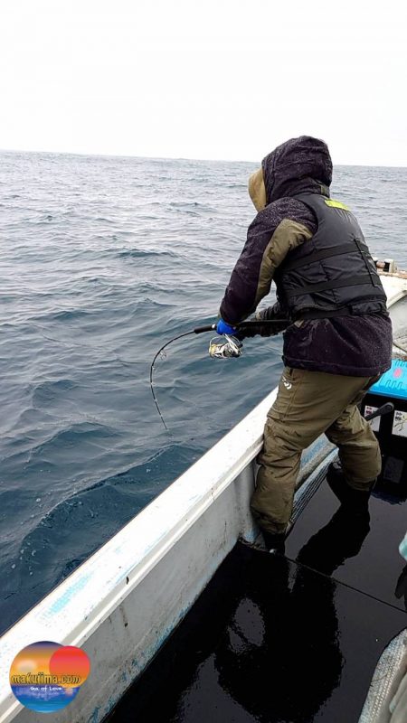 幕島丸 釣果