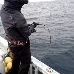 幕島丸 釣果