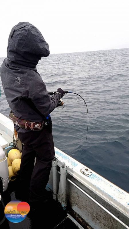 幕島丸 釣果