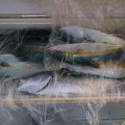 エル・クルーズ 釣果