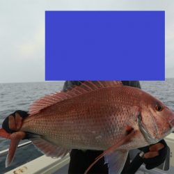 エル・クルーズ 釣果