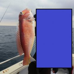 エル・クルーズ 釣果