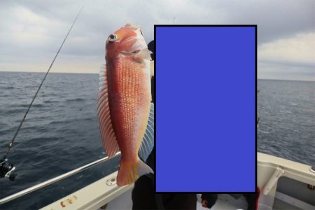 エル・クルーズ 釣果