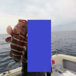 エル・クルーズ 釣果