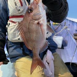 新幸丸 釣果
