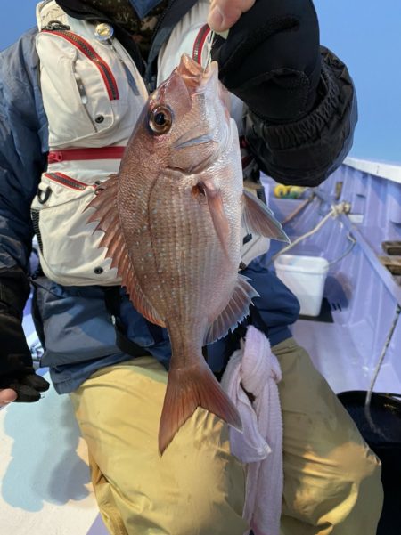 新幸丸 釣果