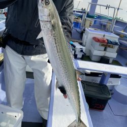 新幸丸 釣果