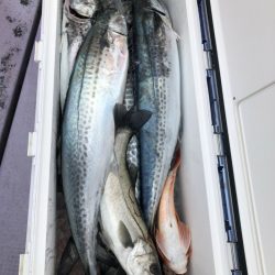 海龍丸（石川） 釣果