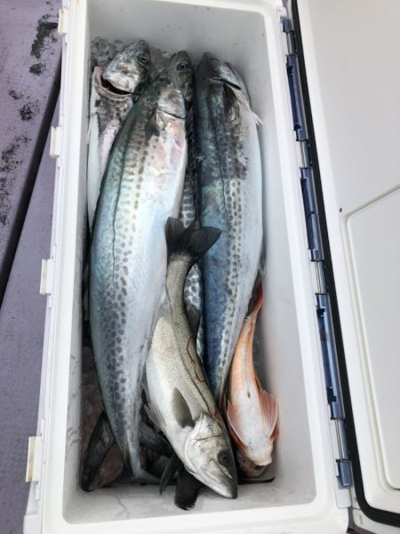 海龍丸（石川） 釣果