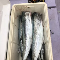 海龍丸（石川） 釣果