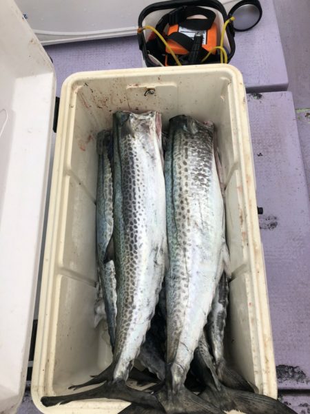 海龍丸（石川） 釣果