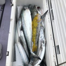海龍丸（石川） 釣果