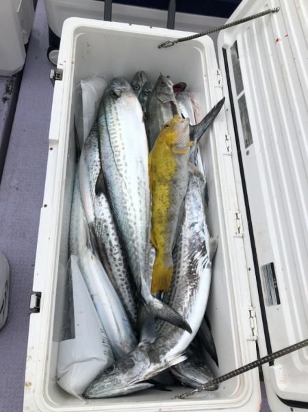 海龍丸（石川） 釣果