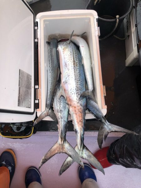 海龍丸（石川） 釣果