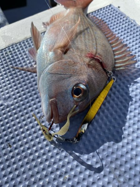 新幸丸 釣果