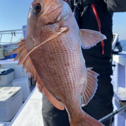 新幸丸 釣果
