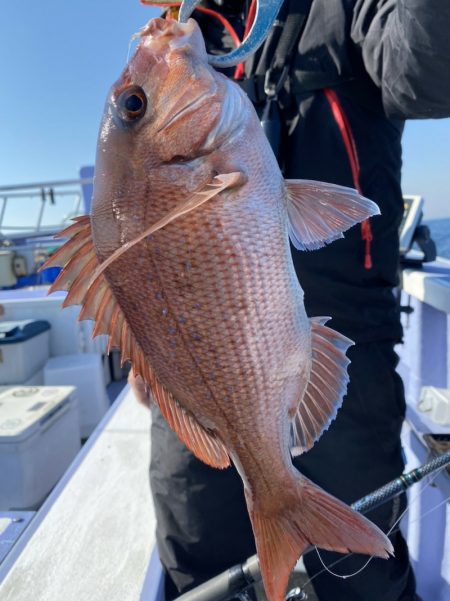 新幸丸 釣果