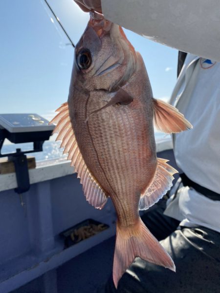 新幸丸 釣果