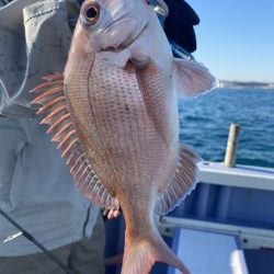 新幸丸 釣果
