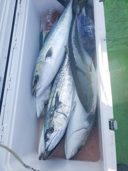 丸万釣船 釣果