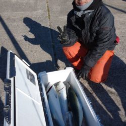 ありもと丸 釣果