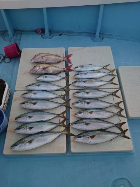 きずなまりん 釣果