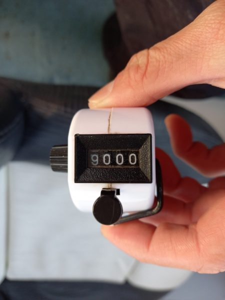 アマテラス 釣果