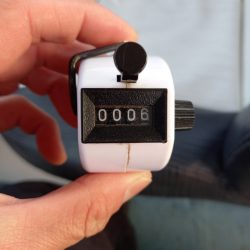 アマテラス 釣果