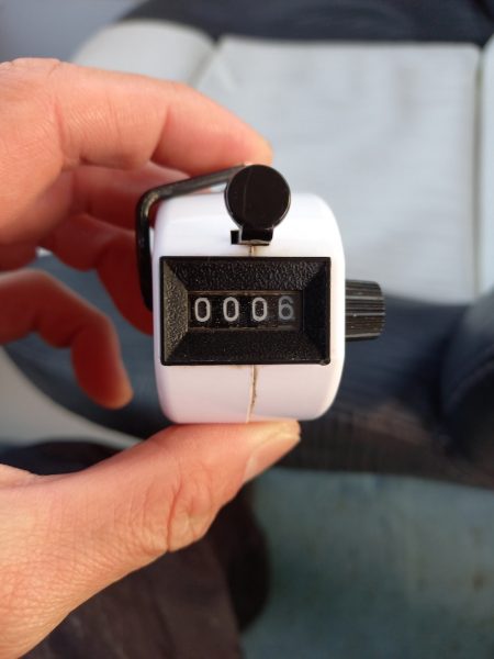 アマテラス 釣果