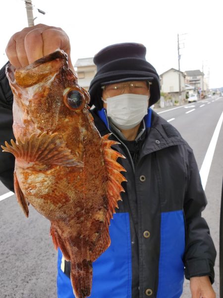 富士丸 釣果