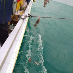 海龍丸（石川） 釣果