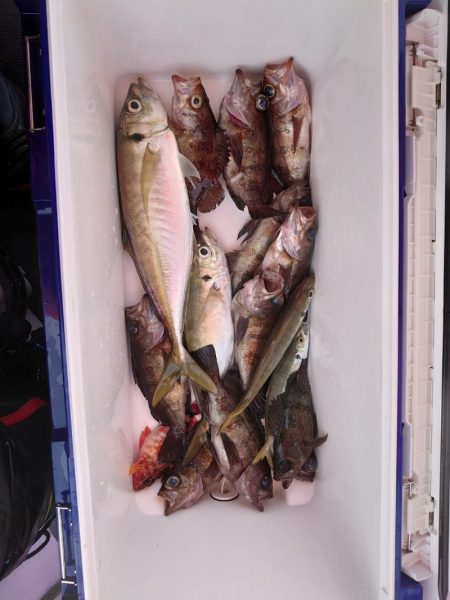 海龍丸（石川） 釣果